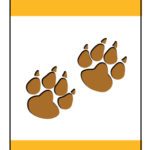 Mountain Lion